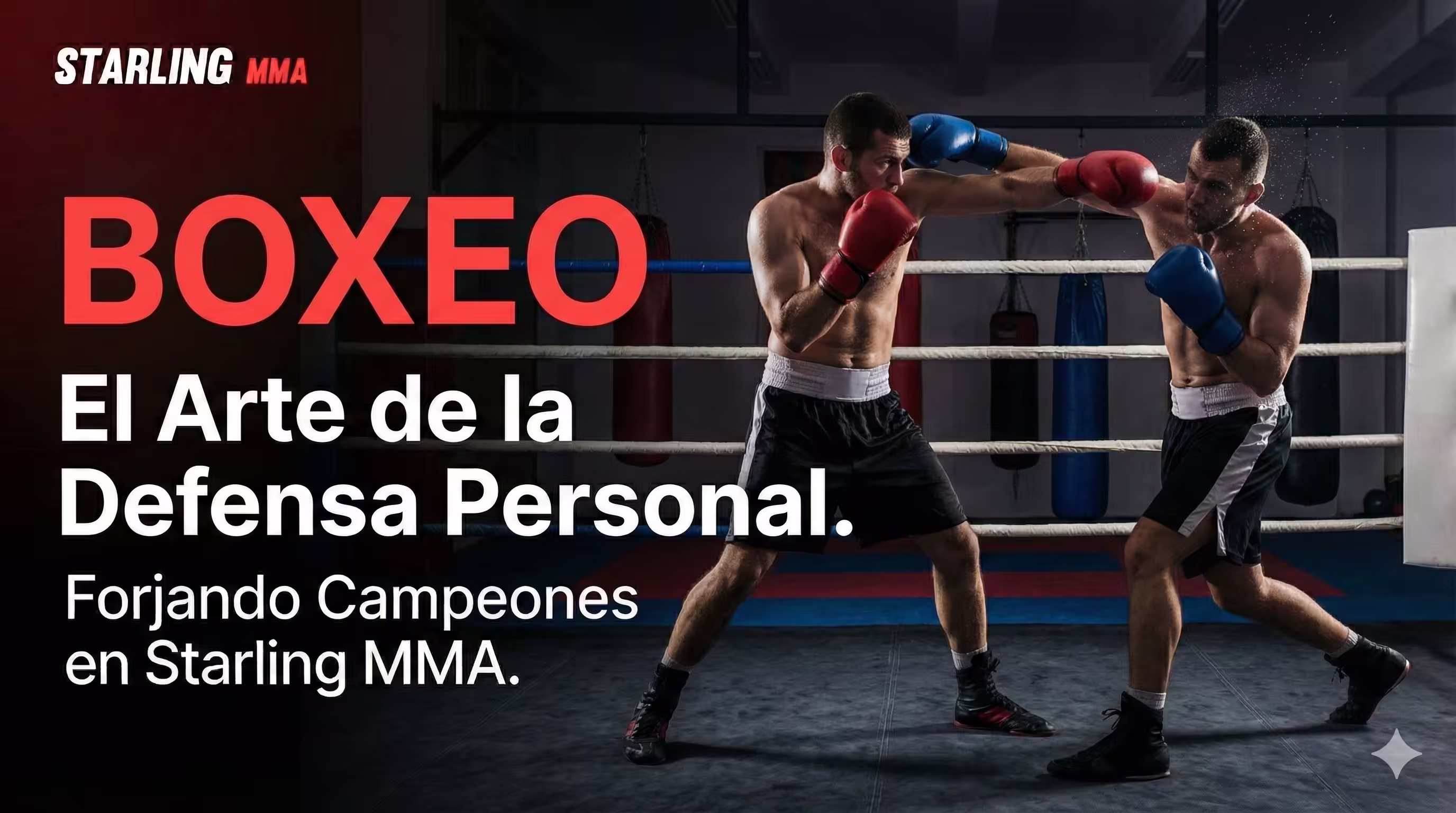 Entrenamiento de Boxeo