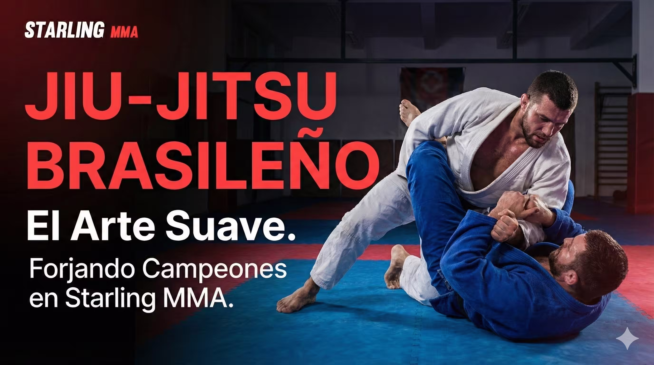 Entrenamiento de Jiu-Jitsu Brasileño