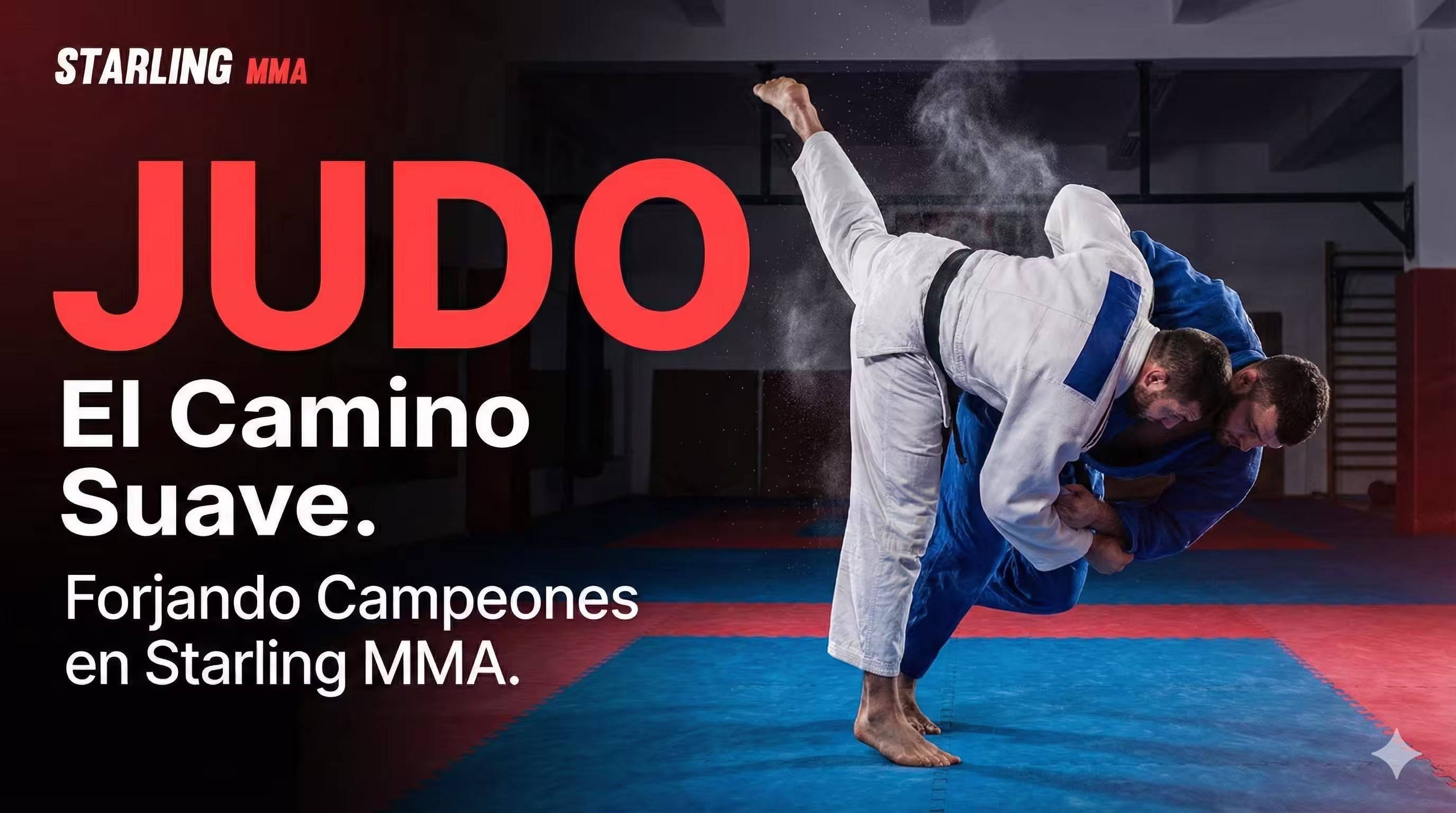Entrenamiento de Judo