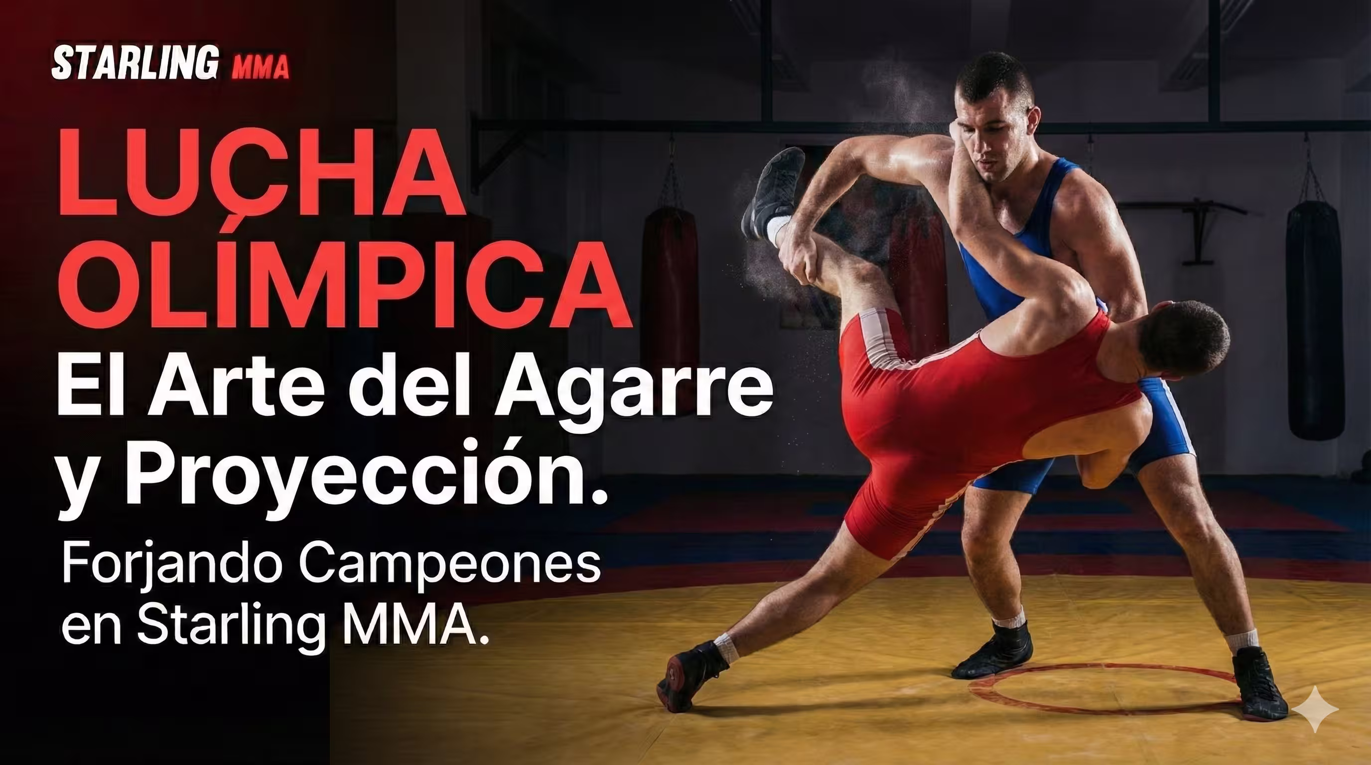 Entrenamiento de Lucha Olímpica