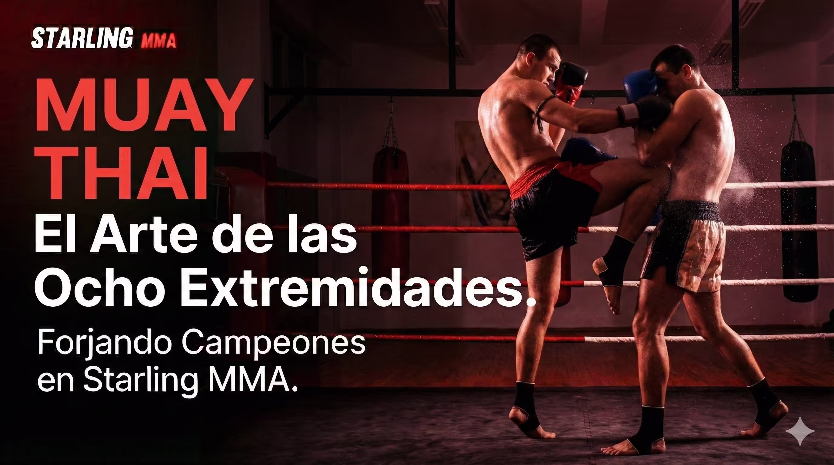 Entrenamiento de Muay Thai