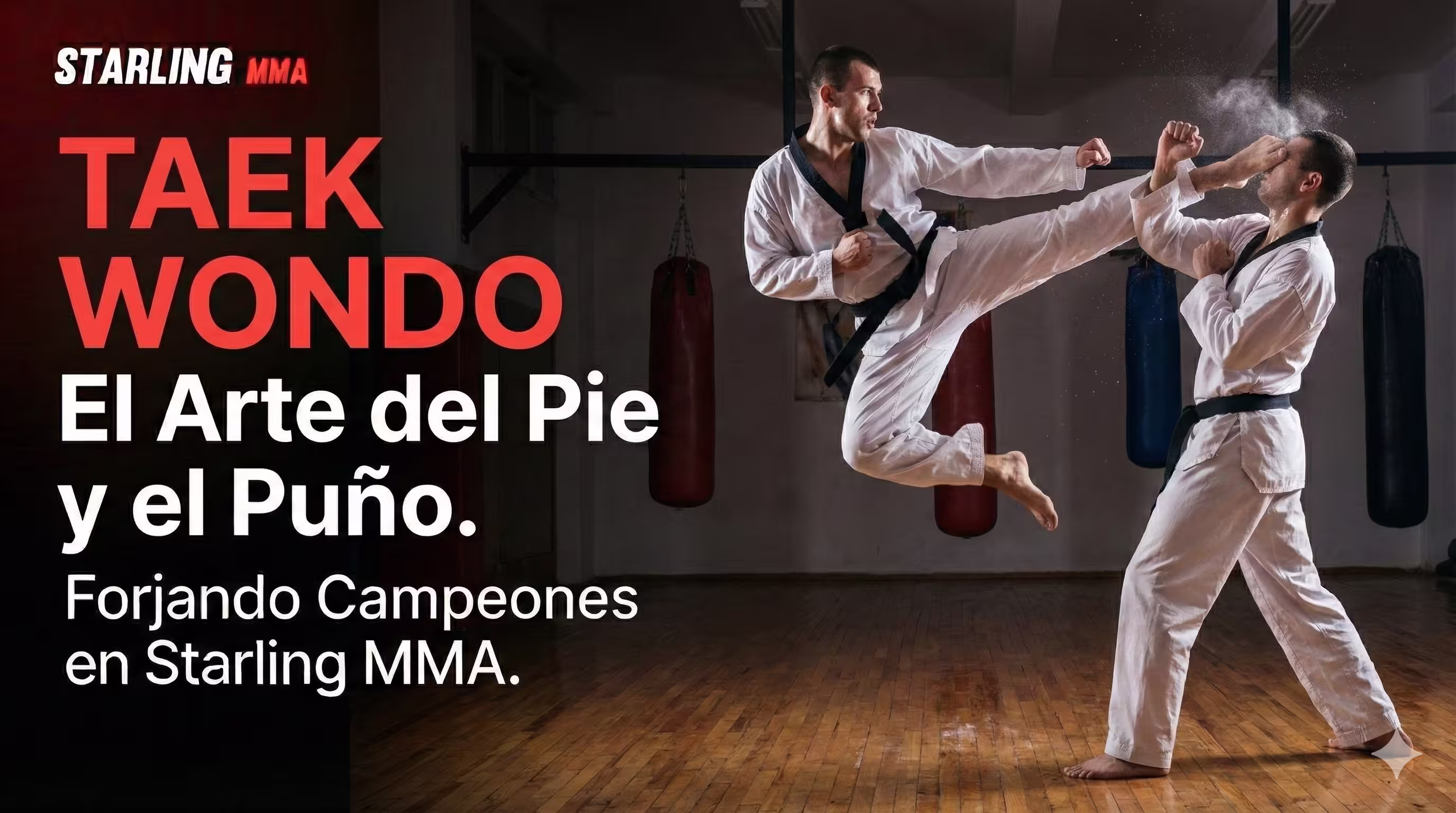 Entrenamiento de Taekwondo